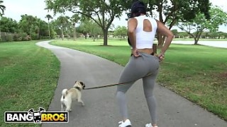 BANGBROS - Big Dick White Guy Goes Ham On Latina Diamond Kitty&#039s nxn viedo Big Ass