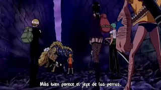 firm tits One Piece Episodio 341 (Sub Latino)