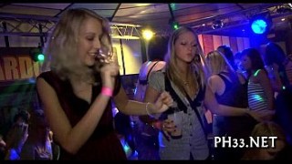Sexy bitches dancing erotically in a club