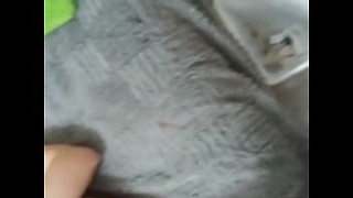 The best tits I have ever seen on Periscope.