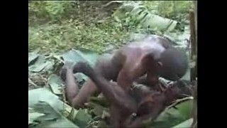 Real African xxx japanese forced Amateur Fuck on Tree, 6969cams.com